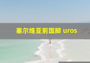 塞尔维亚前国脚 uros